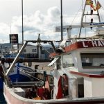 Agricultura repartirá 2,9 millones de kilos de patudo en el Atlántico gracias al mecanismo de optimización