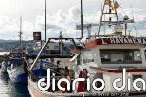 Agricultura repartirá 2,9 millones de kilos de patudo en el Atlántico gracias al mecanismo de optimización