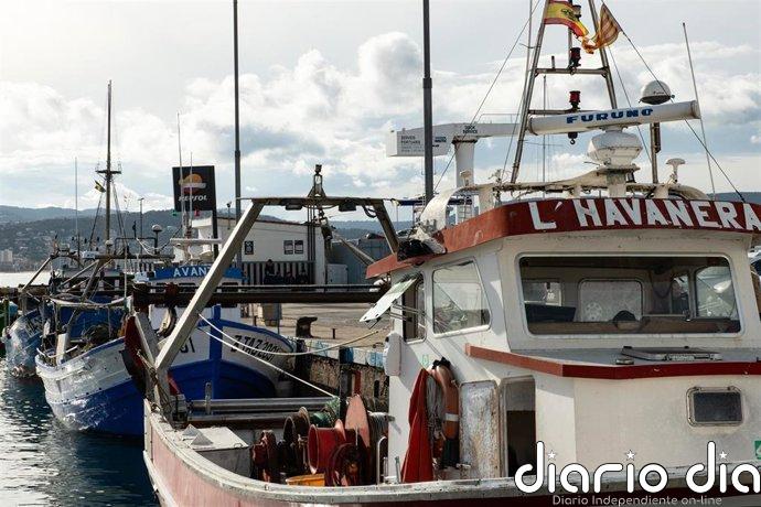 Agricultura repartirá 2,9 millones de kilos de patudo en el Atlántico gracias al mecanismo de optimización
