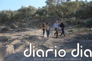 AI denuncia nuevas órdenes de confiscación de tierras, incluida en el área administrada por la Autoridad Palestina