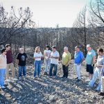 Alegría reclama al Gobierno de Aragón la creación de una oficina técnica permanente de restauración de grandes incendios