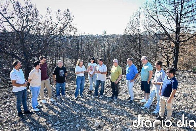 Alegría reclama al Gobierno de Aragón la creación de una oficina técnica permanente de restauración de grandes incendios