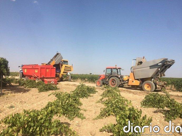 Asaja C-LM rechaza que las ayudas directas de agricultores y ganaderos se usen para financiar el desarrollo rural