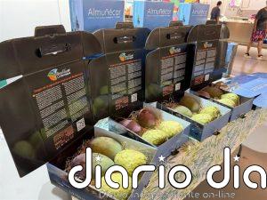 Asaja Málaga destaca la calidad del mango español en una campaña con buenas perspectivas
