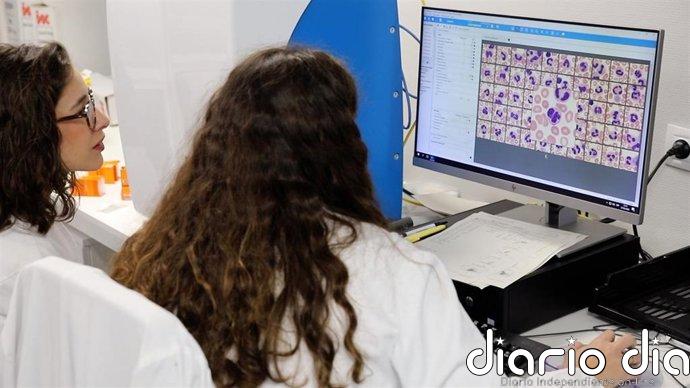 Baleares cuenta con 7.609 donantes de médula ósea y las inscripciones en el registro pasan de 44 a más 540 en dos años