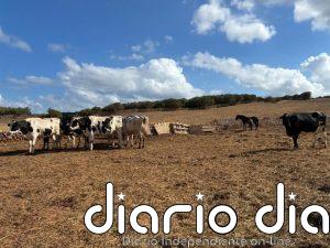 Baleares lanza ayudas de 12,2 millones para inversión agraria