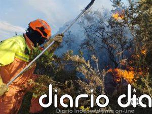 Cabrales proyecta la reparación de la balsa forestal de Beceña para la lucha contra incendios