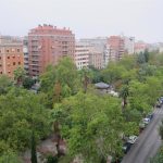 Cáceres transforma este sábado una plaza de aparcamiento en un jardín efímero para celebrar el Día Mundial Sin Coches