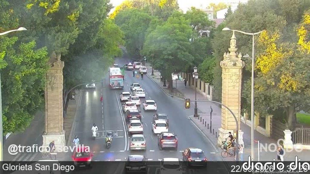 Cae un árbol a la altura del Lope de Vega y provoca el corte dos carriles de la avenida María Luisa de Sevilla