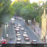 Cae un árbol a la altura del Lope de Vega y provoca el corte dos carriles de la avenida María Luisa de Sevilla