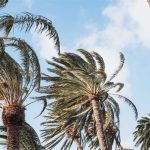 Canarias declara la prealerta por viento en todo el archipiélago desde la tarde de este sábado