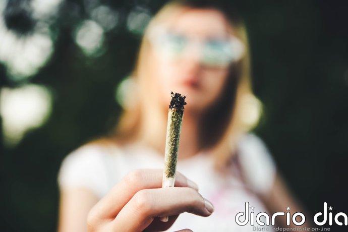 Consumir cannabis casi a diario se relaciona con una peor respuesta a la epilepsia