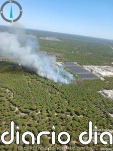 Controlado el incendio declarado en el paraje Mazagón-Barriada San José de Moguer (Huelva)