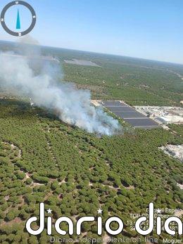 Controlado el incendio declarado en el paraje Mazagón-Barriada San José de Moguer (Huelva)