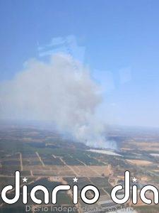 Declarado un incendio forestal en Ayamonte (Huelva) que moviliza catorce medios aéreos y amenaza la carretera A-499