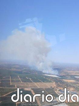 Declarado un incendio forestal en Ayamonte (Huelva) que moviliza catorce medios aéreos y amenaza la carretera A-499