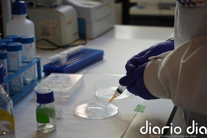Desarrollan un hidrogel inyectable para liberar quimioterapia en tumores sólidos