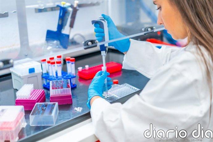 Descubren el papel de los astrocitos hiperreactivos en la epilepsia infantil asociada a la esclerosis tuberosa