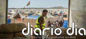 Disminuye a la mitad la ayuda en alimentos a Palestina