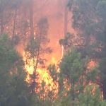 Dos bomberos heridos en las tareas de extinción del incendio forestal de Tuéjar