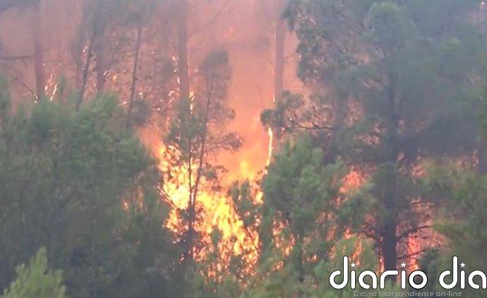 Dos bomberos heridos en las tareas de extinción del incendio forestal de Tuéjar