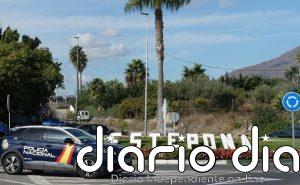 Dos detenidos por robos en interior de coches y resistirse a la detención en Estepona (Málaga)