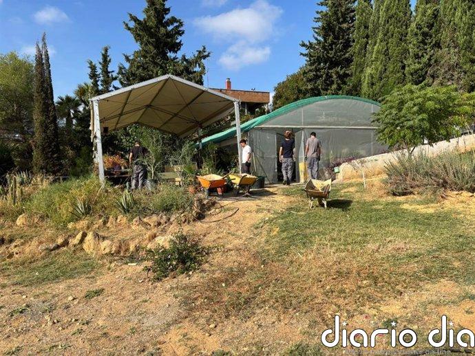 El Ayuntamiento de Alcalá (Sevilla) impulsa el 'Proyecto Verde' en el IES Tierno Galván
