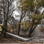 El Ayuntamiento de València revisará los cortafuegos de la Devesa para mejorar la protección frente a futuros fuegos
