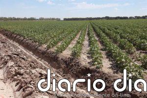 El Foro AgroGO! analizará en Cabra (Córdoba) las oportunidades y los límites de la digitalización y la IA en el campo