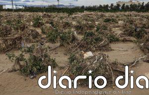 El Gobierno amplía en 75,2 millones el presupuesto para recuperar el potencial productivo afectado por la dana