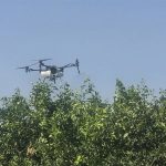 El Ifapa organiza en Sevilla una jornada sobre el uso de drones para agricultura de precisión en citricultura