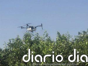 El Ifapa organiza en Sevilla una jornada sobre el uso de drones para agricultura de precisión en citricultura