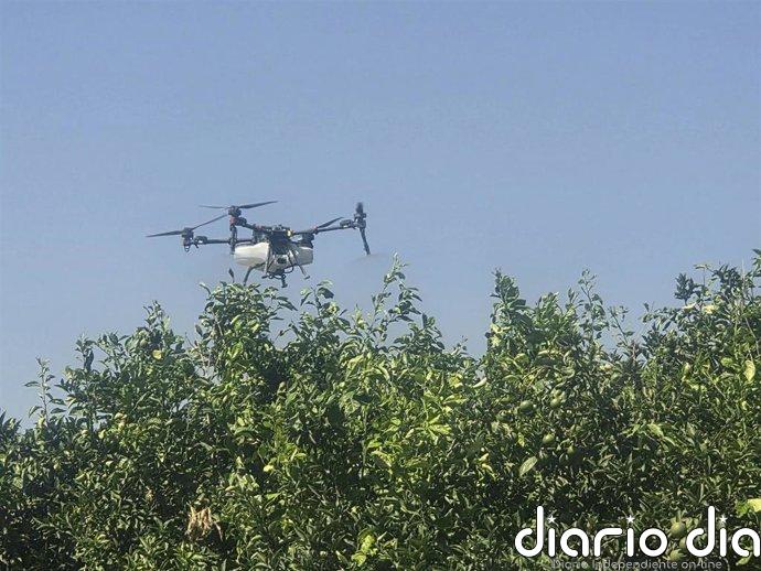 El Ifapa organiza en Sevilla una jornada sobre el uso de drones para agricultura de precisión en citricultura