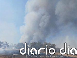 El incendio de Santa Bárbara (Huelva) obliga a cortar la HU-7401 y mantiene más de una veintena medios terrestres