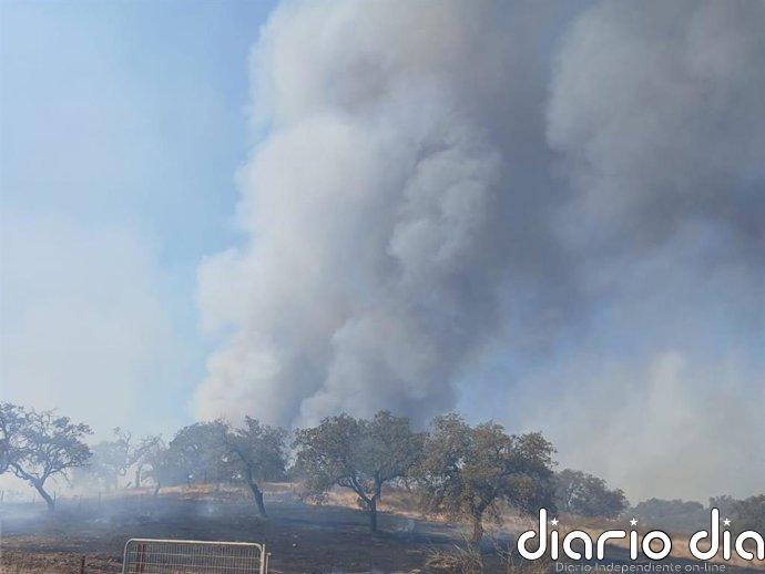 El incendio de Santa Bárbara (Huelva) obliga a cortar la HU-7401 y mantiene más de una veintena medios terrestres