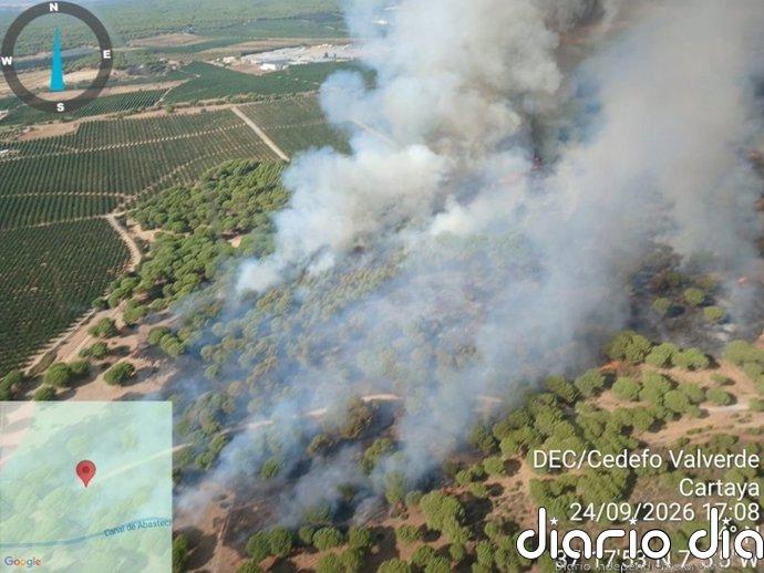 El Infoca da por controlado el tercer incendio registrado este mes en Cartaya (Huelva)