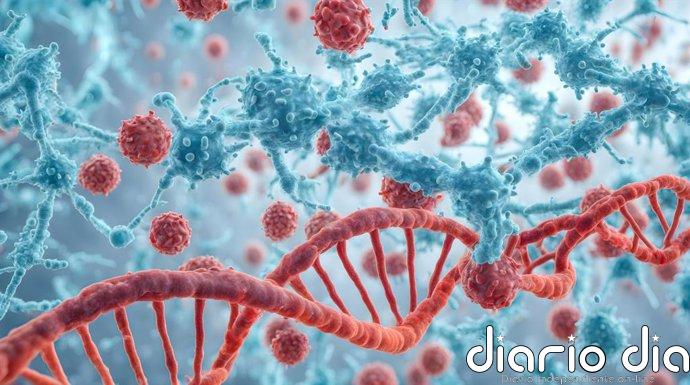 El mapa de 22 millones de células inmunes que revolucionará la genética y la medicina