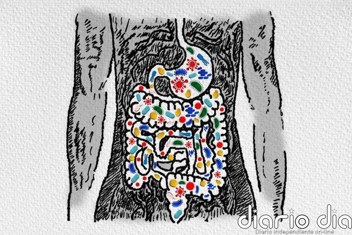 El microbioma intestinal esconde una pista sobre el cáncer que aparece antes de los 50 años