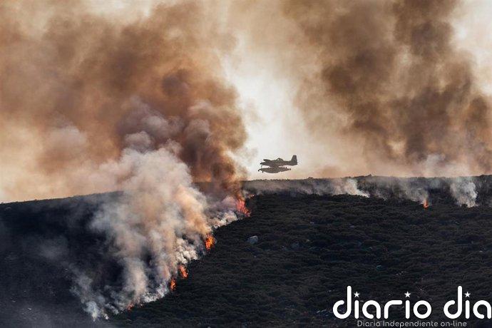 El Plan Infoex interviene en 31 incendios forestales en la última semana que calcinan 362 hectáreas