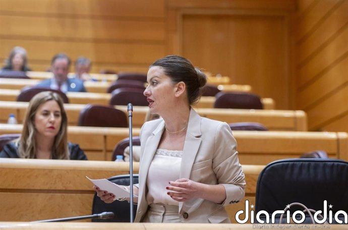 El PP acusa al Gobierno de trasladar a menores migrantes "contra su voluntad" y Rego le reprocha "bloqueo" en acogidas