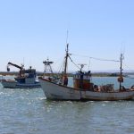 El PP reclama en el Congreso que se revisen las restricciones a la pesca por motivos medioambientales