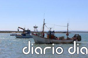 El PP reclama en el Congreso que se revisen las restricciones a la pesca por motivos medioambientales