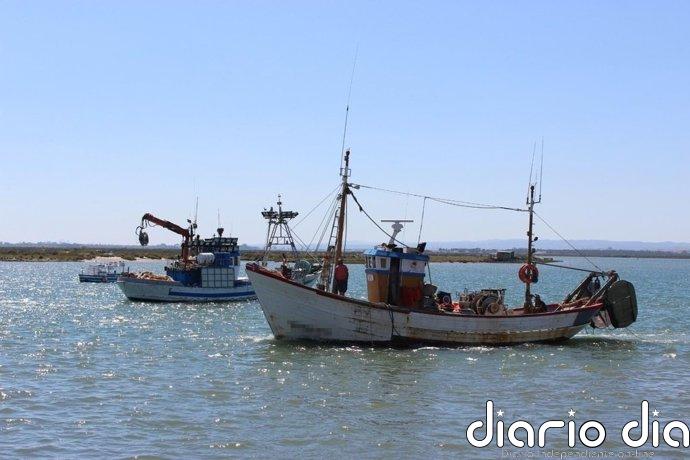 El PP reclama en el Congreso que se revisen las restricciones a la pesca por motivos medioambientales
