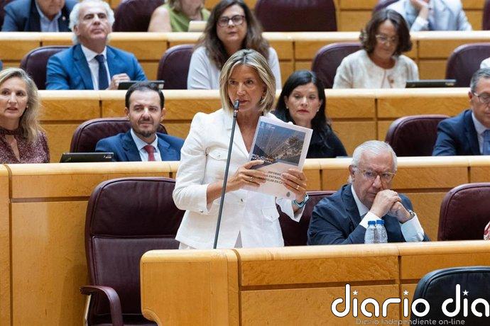 El PP vuelve a citar en el Senado a Marlaska, Robles y Albares por la crisis de Ceuta tras su "plantón" en agosto