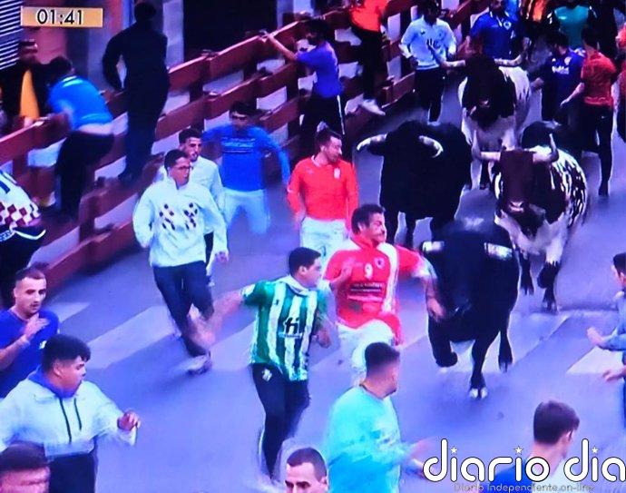 El primer encierro de Guadalajara, limpio y rápido, duró 2,29 y dejó la plaza al 50%