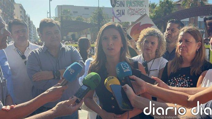El PSOE-A exige a Moreno que "dé la cara" ante los incendios forestales registrados este verano en Huelva