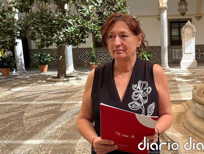 El PSOE de Granada desvela un "desfase" de 5,6 millones en personal y tilda de "papel mojado" el presupuesto de Carazo