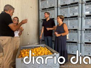 El PSOE denuncia prácticas abusivas contra los fruticultores y acusa al Gobierno de Azcón y Vox de "ponerse de perfil"
