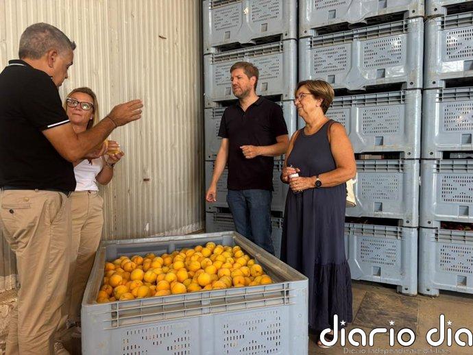 El PSOE denuncia prácticas abusivas contra los fruticultores y acusa al Gobierno de Azcón y Vox de "ponerse de perfil"
