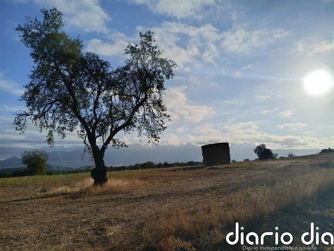 El tiempo en Extremadura para hoy jueves, 3 de septiembre de 2026